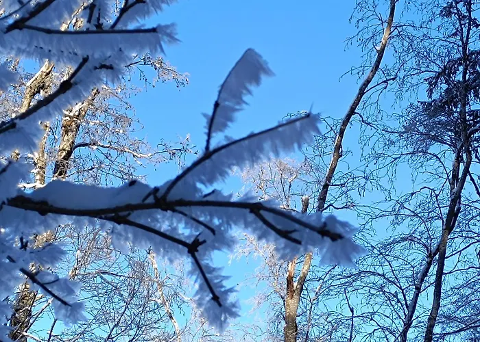 Apartamento Mayr - Bergblick *