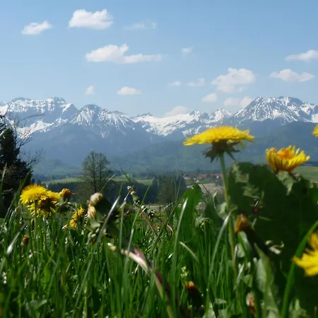 Mayr - Bergblick * Fussen