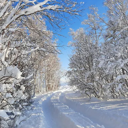 Mayr - Bergblick Фюссен