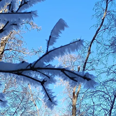 Апартаменты Mayr - Bergblick *