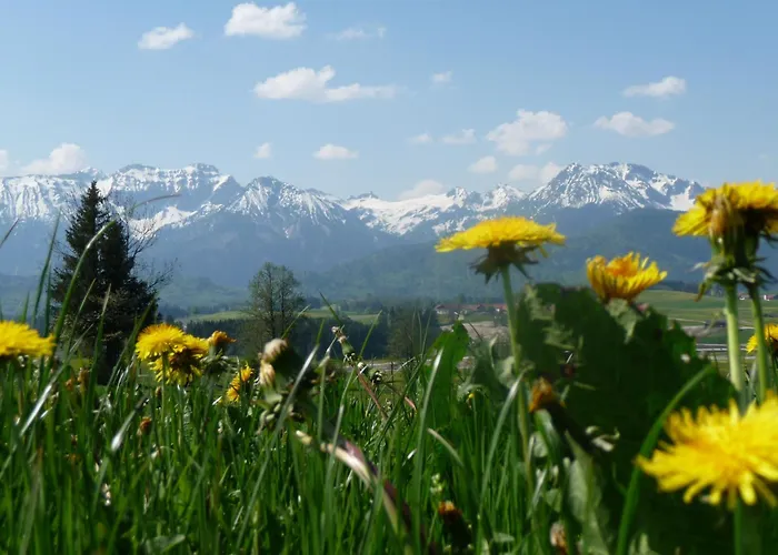 Mayr - Bergblick * Füssen