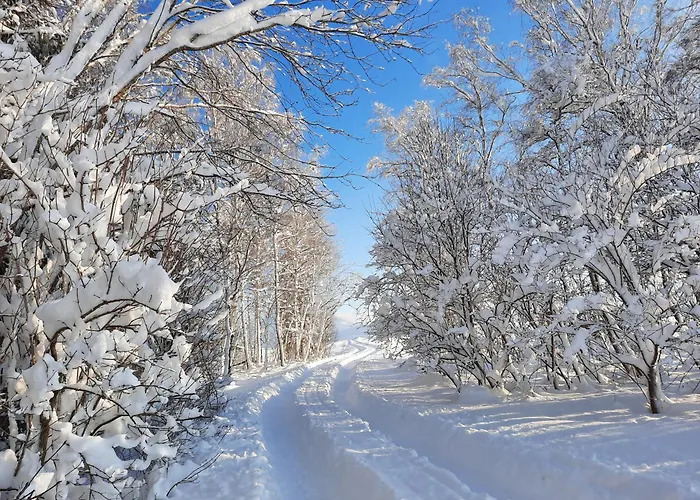Mayr - Bergblick Фюссен